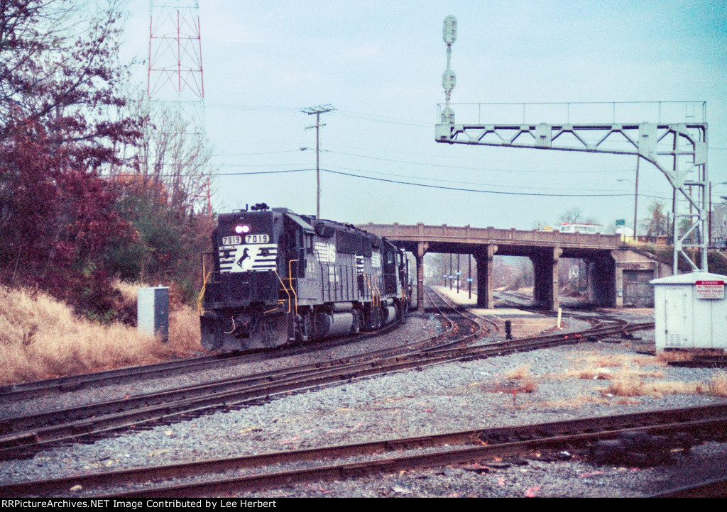 NS 7019 leading the 221